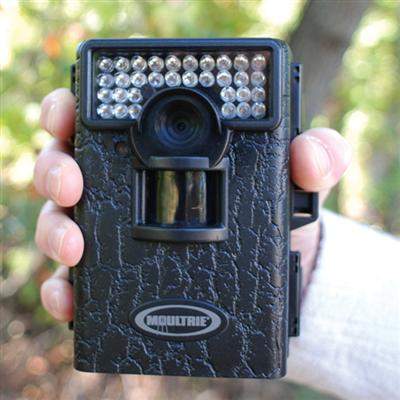 Appareil photo infrarouge pour animaux moultrie