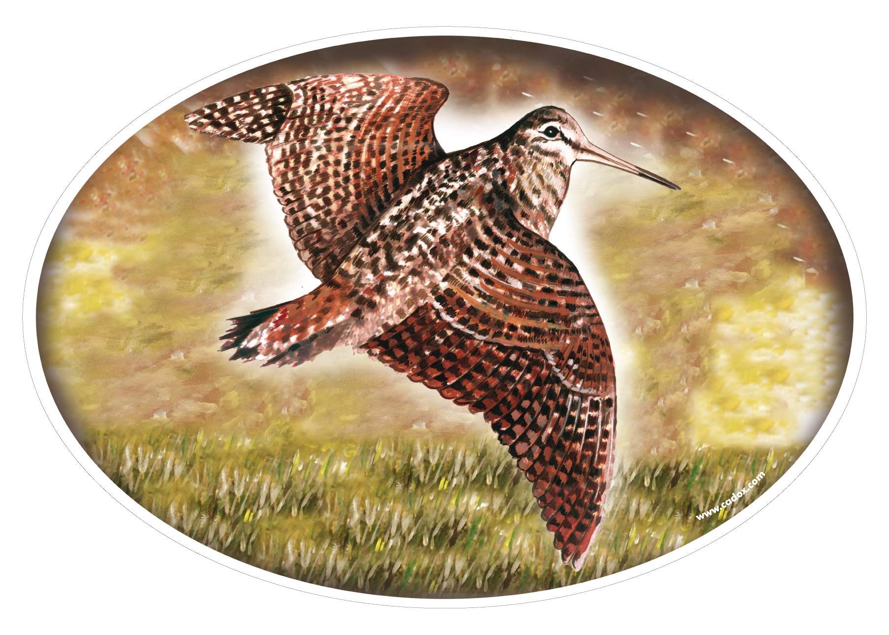 Autocollant pour voiture sur vitre ou carrosserie avec be casse qui vol en couleur re siste au uv chez chasseur et compagnie