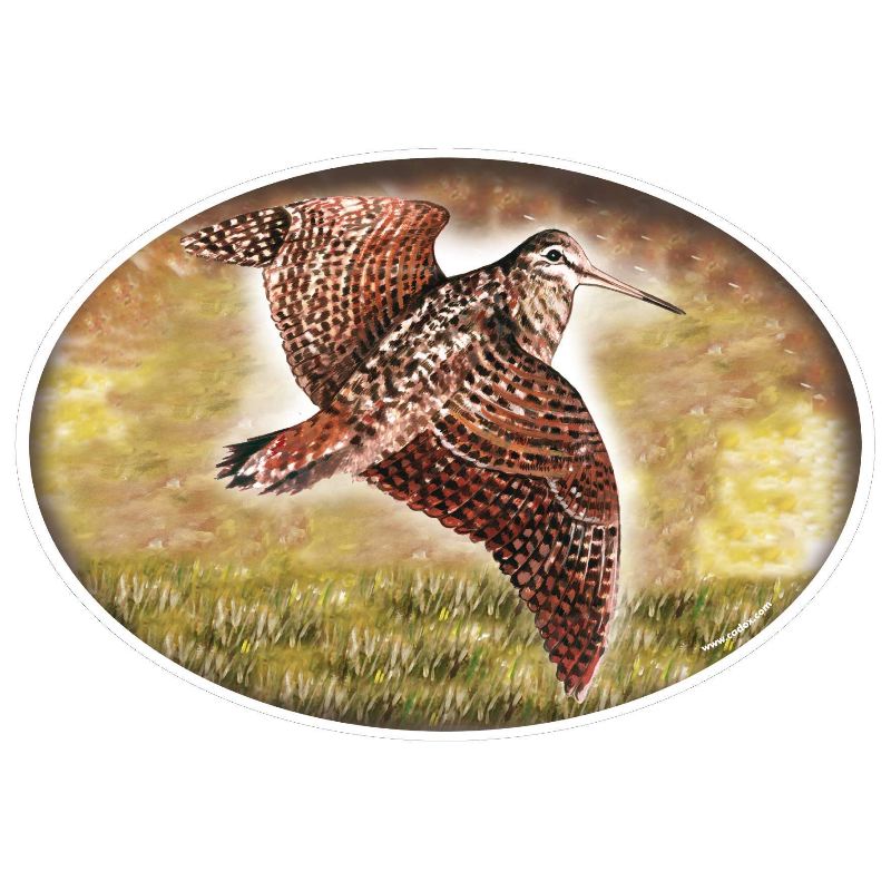 Autocollant voiture be casse en couleur forme rond oval