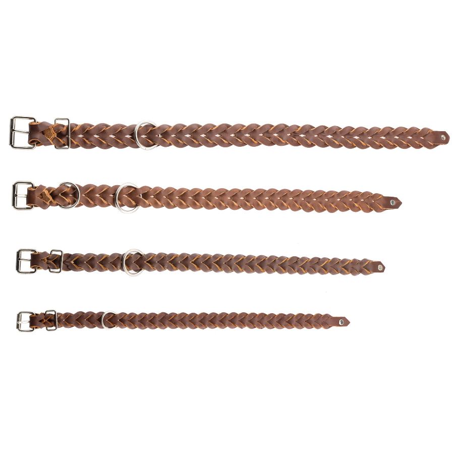 Beau collier pour chien en cuir tresse marron pleine fleur