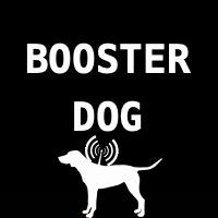 Booster Dog