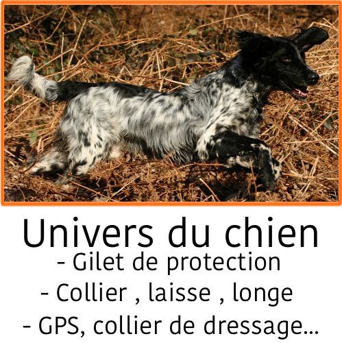 Chasseur et compagnie équipement chasse et tir sportif Chasseur et compagnie équipement chasse et tir sportif