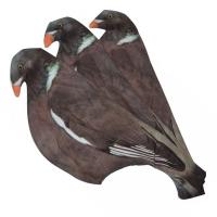 Chaussette pour appelant pigeon X 5