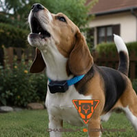 Collier anti aboiement simple numaxes canicalm first1