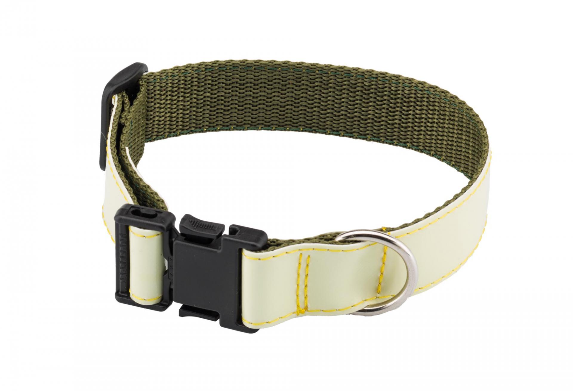 Collier chien animaux solide phosphorescent nuit sombre nocturne
