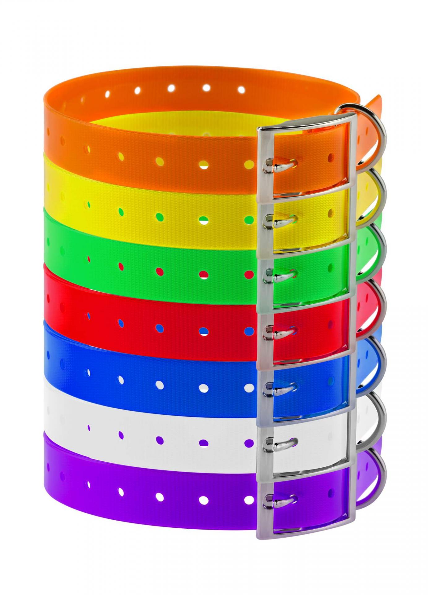 Collier chien couleur vive tre s solide et pas cher