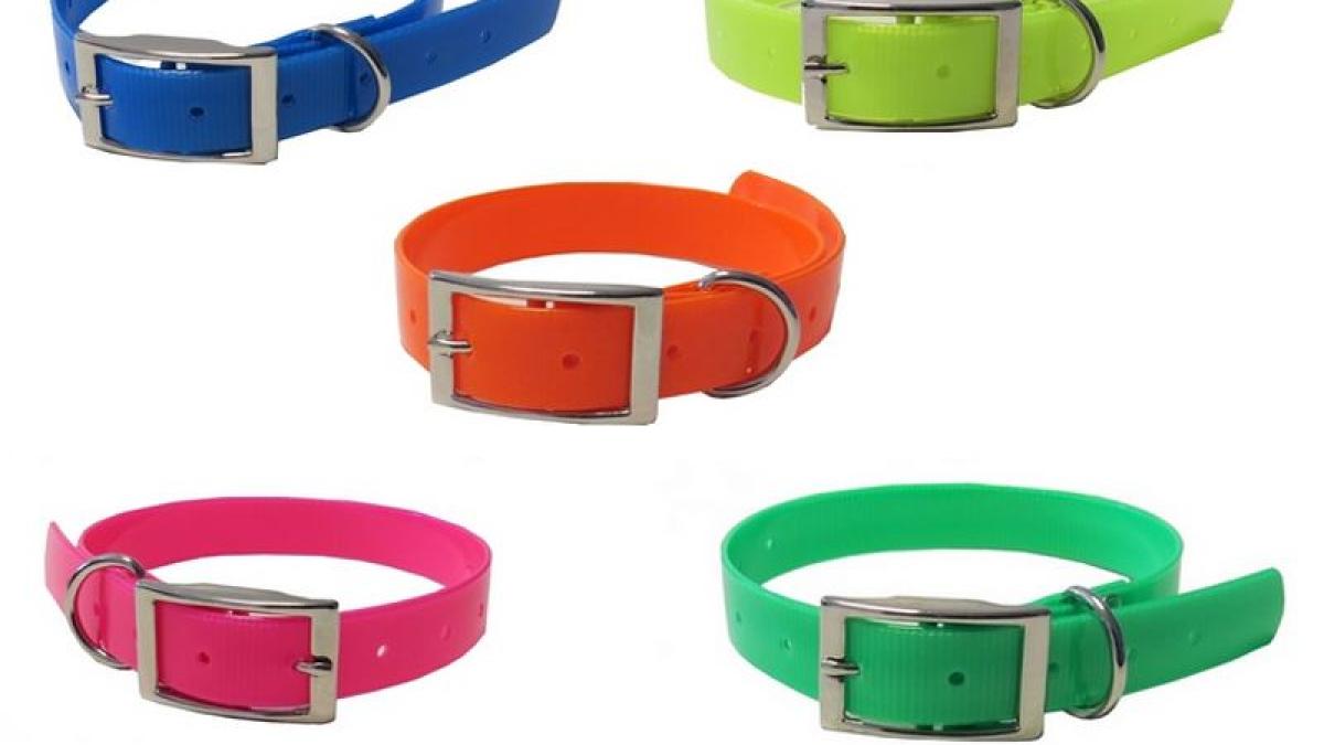 Collier pour chien de chasse