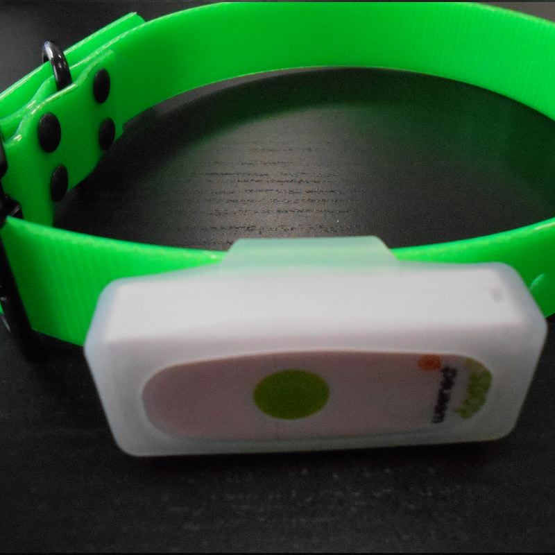 Collier de repe rage gps pour chien de chasse weenect dog2 installe