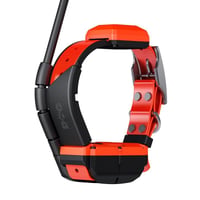 Collier dogtrace x40 chasseur et compagnie