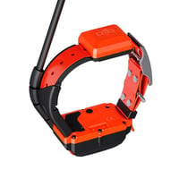 Collier dogtrace x40 chasseur et compagnie1