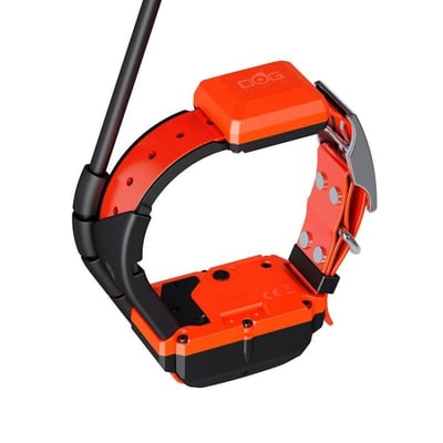 Collier dogtrace x40 chasseur et compagnie1