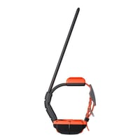Collier dogtrace x40 chasseur et compagnie2