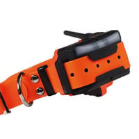 Collier dogtrace x40 chasseur et compagnie3