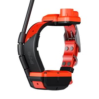 Collier dogtrace x40b chasseur et compagnie