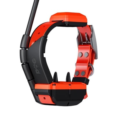 Collier dogtrace x40t chsseur et compagnie2
