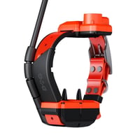 Collier dogtrace x40tb chasseur et compagnie