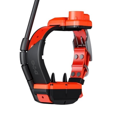 Collier dogtrace x40tb chasseur et compagnie