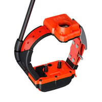 Collier dogtrace x40tb chasseur et compagnie1