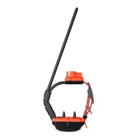 Collier dogtrace x40tb chasseur et compagnie2