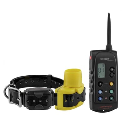 Collier dressage beeper chasse becasse numaxes pro1500