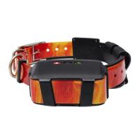 Collier gps de repe rage chien de chasse rog master speeder7