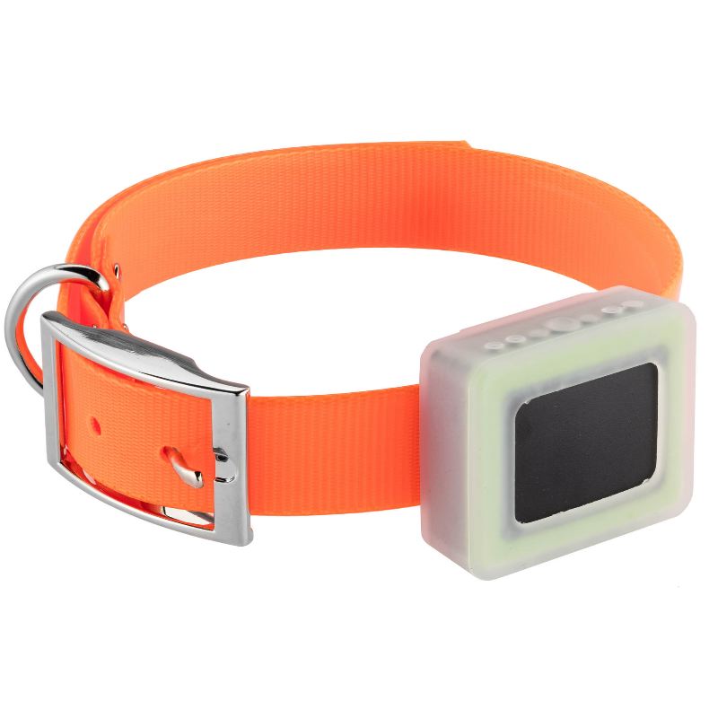 Collier gps pour chien weenect avec smartphone