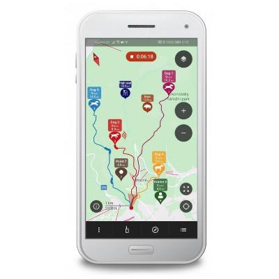 Collier repe rage 3 en 1 dog trace x30tb gps beeper dressage