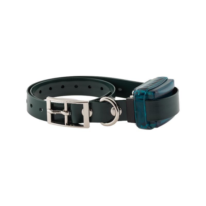 Collier supple mentaire dressage e lectronique dog trace mini