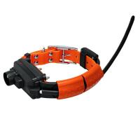 Collier supple mentaire pour collier chien dog trace x30tb