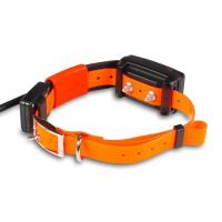 Collier supple mentaire pour dogtrace x30t mini1
