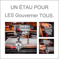 Etau pour entretient des armes real avid master gun vise3