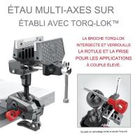 Etau pour entretient des armes real avid master gun vise6