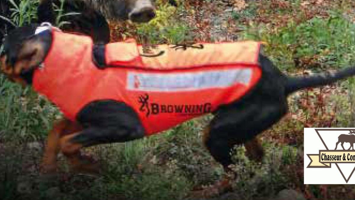 Gilet de protection pour chien de chasse