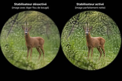 Jumelles tre s puissante avec image net anti vibration stabilisateur