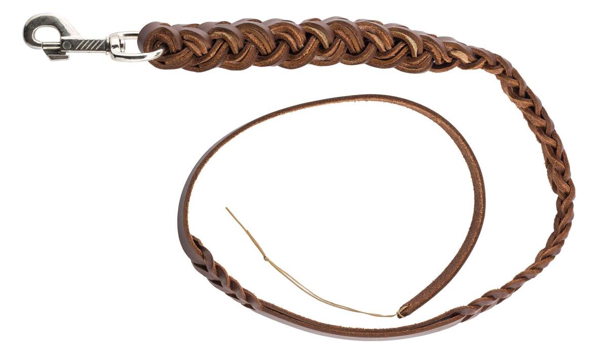 Fouet pour chien de chasse