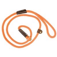 Laisse lasso de dressage par e tranglement pour gros chien