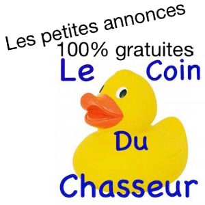 Le coin site