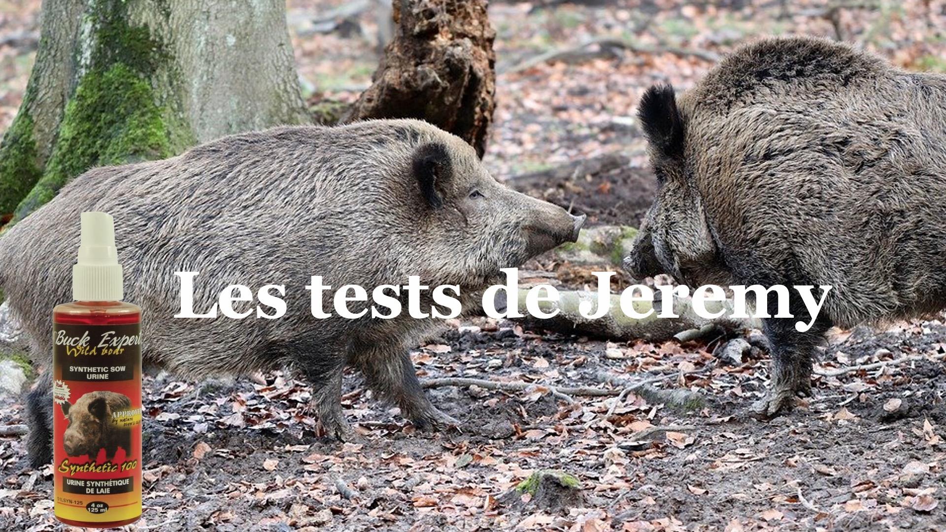 Les tests de jeremy urine synthe tique de laie en chaleur