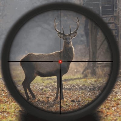 Lunette de chasse 3 12x56 vector grizzly german 4 fibre1