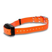 Pack collier de dressage professionnel 1000 orange dogtrace1