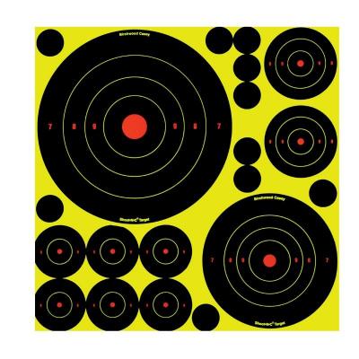 Pack de 50 cibles auto adhe sives shoot n c birchwood casey