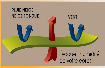Prevent schema fr