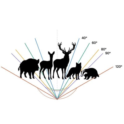 Quel angle de detection choisur pour un piege photo animaux