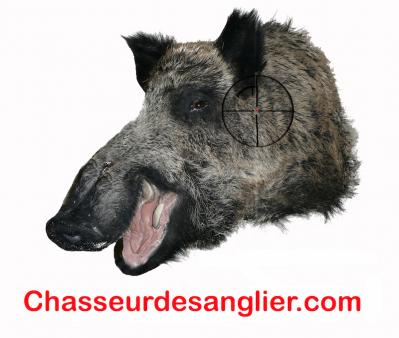 chasseur de sanglier