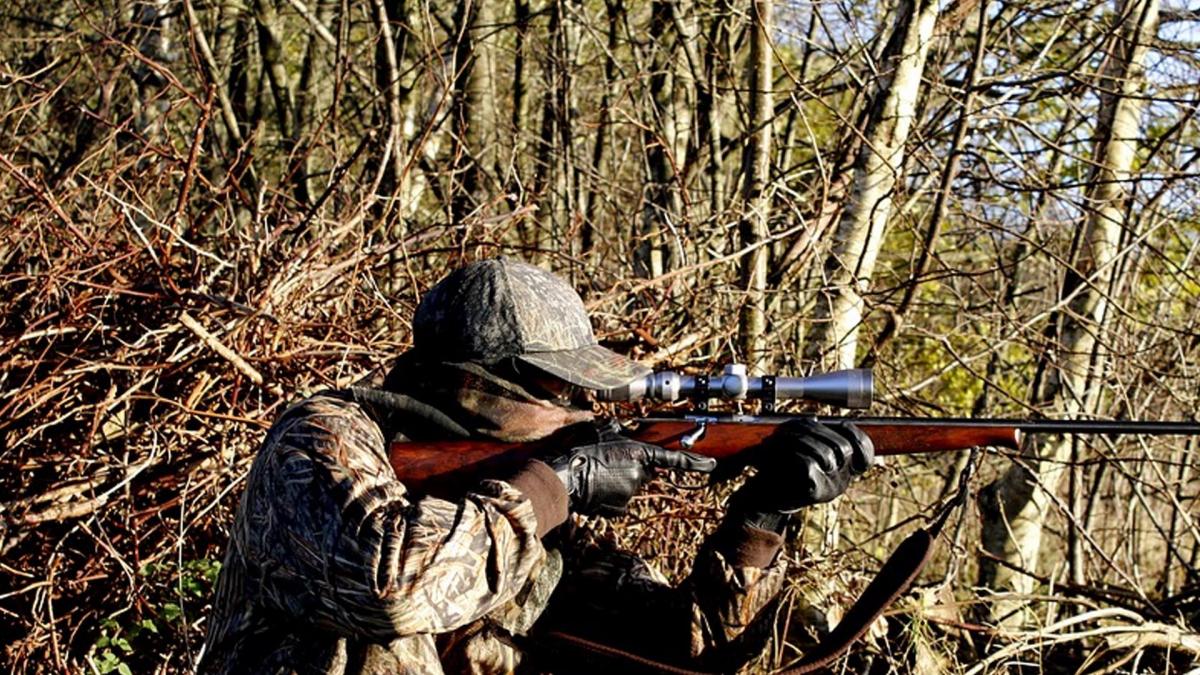 Tableau Comparateur lunette de chasse battue affut approche