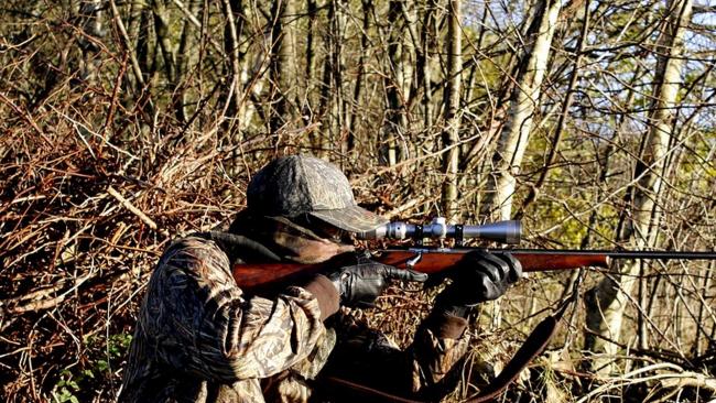 Tableau Comparateur lunette de chasse battue affut approche