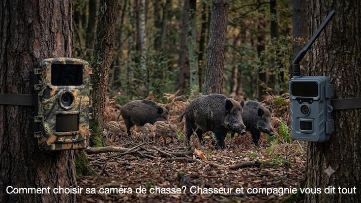 Tableau comparatif pour pie ge photo came ra de chasse