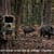 Piège photo de chasse, comment choisir