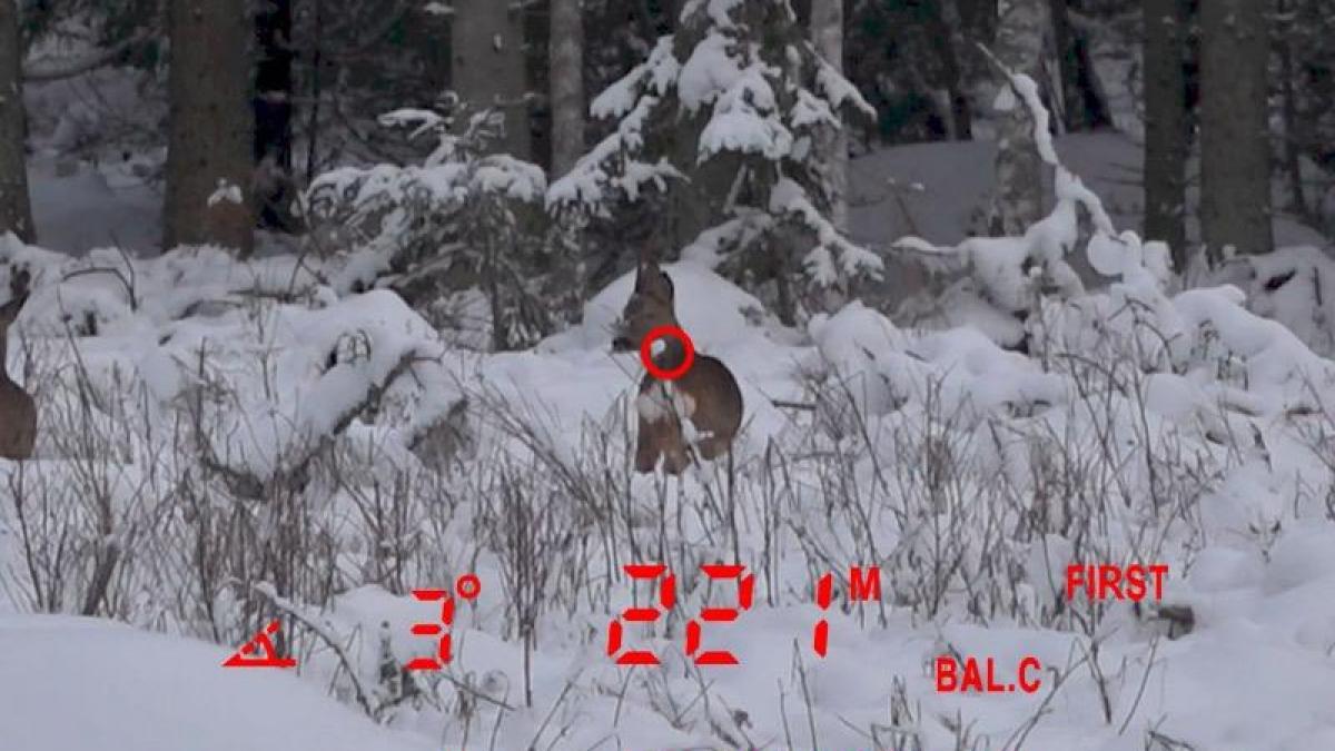 Telemetre laser de chasse et tir